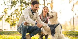 How to Trim Your Puppy