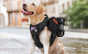 Tactical-Dog-Harness