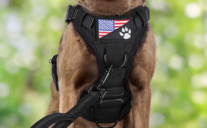 Tactical-Dog-Harness