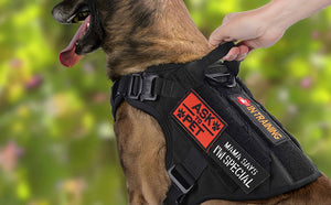 Tactical-Dog-Harness