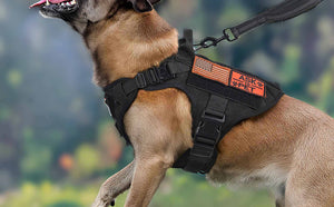 Tactical-Dog-Harness