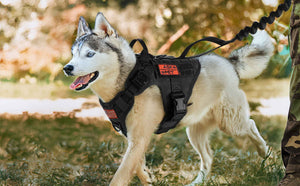 Tactical-Dog-Harness