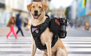 Tactical-Dog-Harness