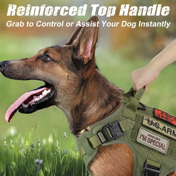 Green-Tactical-Dog-Harness
