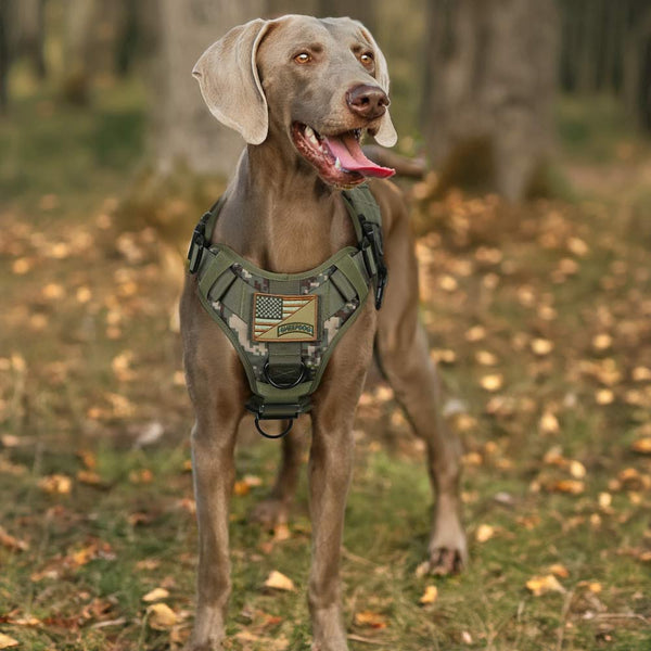 Green-Camo-Tactical-Dog-Harness