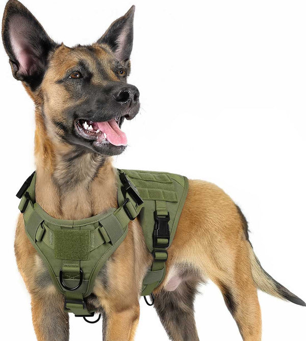 Green-Tactical-Dog-Harness