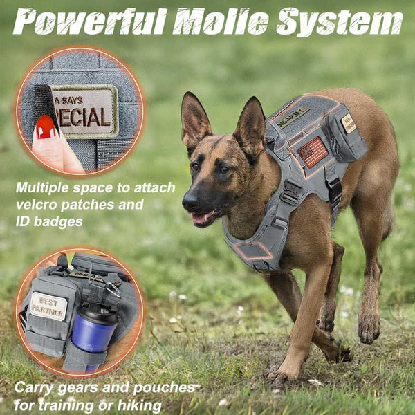 Grey-Tactical-Dog-Harness