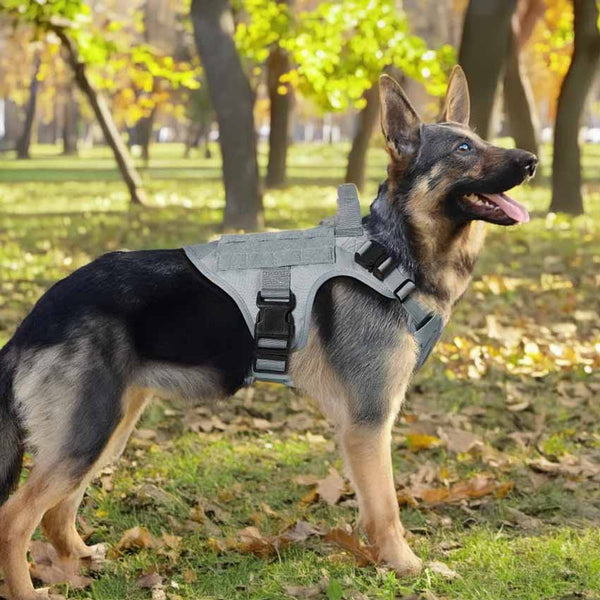 Grey-Tactical-Dog-Harness
