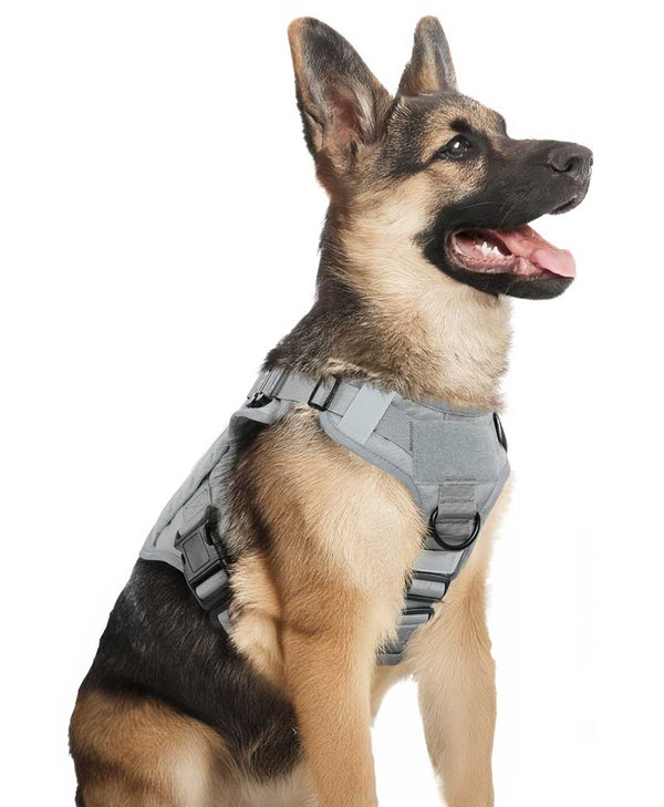 Grey-Tactical-Dog-Harness