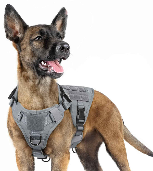Grey-Tactical-Dog-Harness