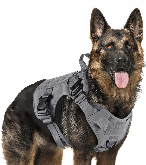 Grey-Tactical-Dog-Harness
