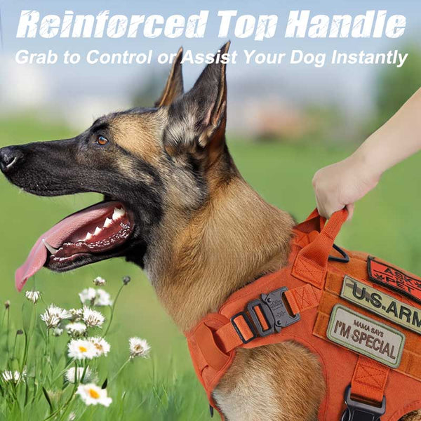 Orange-Tactical-Dog-Harness