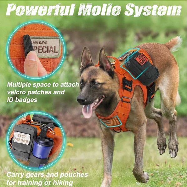Orange-Tactical-Dog-Harness