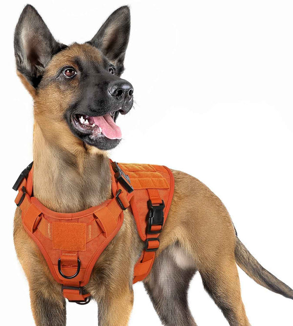 Orange-Tactical-Dog-Harness