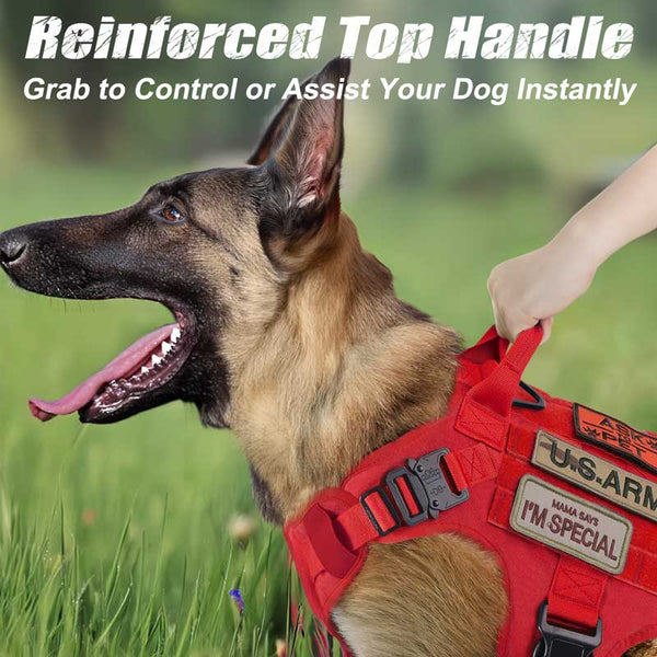 Red-Tactical-Dog-Harness