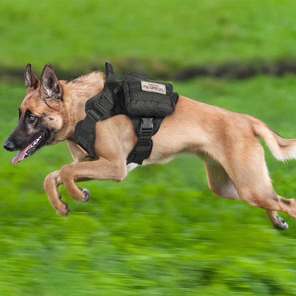 Black-Tactical-Dog-Harness