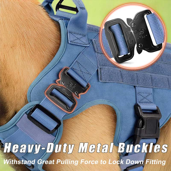 Blue-Tactical-Dog-Harness