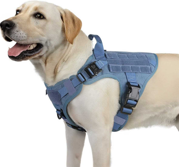 Blue-Tactical-Dog-Harness