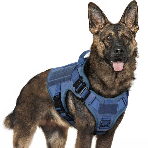 Blue-Tactical-Dog-Harness