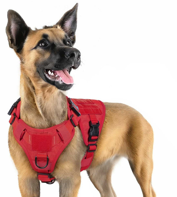 Red-Tactical-Dog-Harness