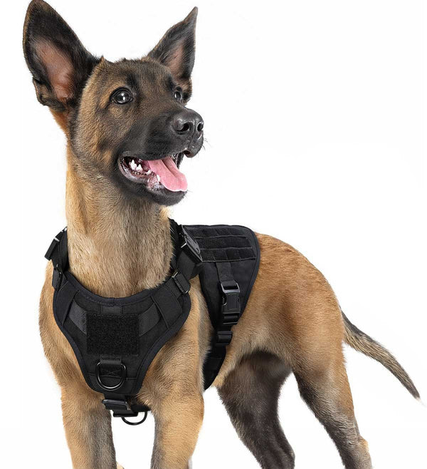 Black-Tactical-Dog-Harness