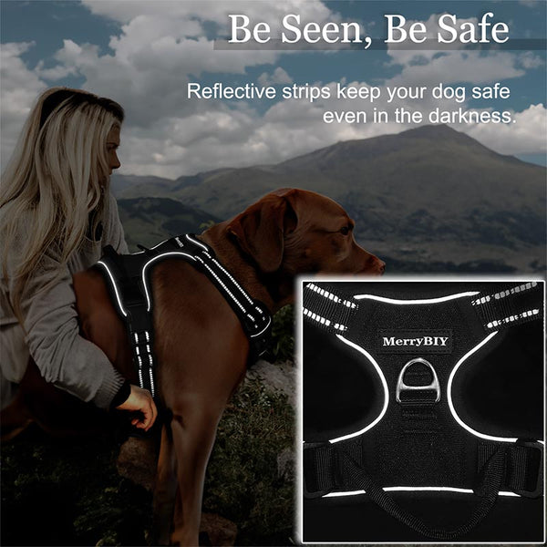 no pull dog harness bright strip