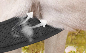 Dog Harness Breathble Mesh Fabric