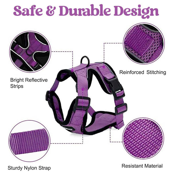 CAT-HARNESS-PURPLE