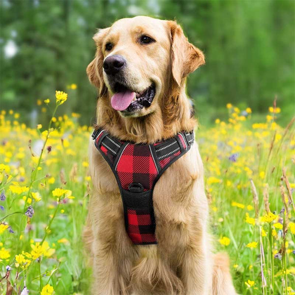 no pull dog harness beige brown