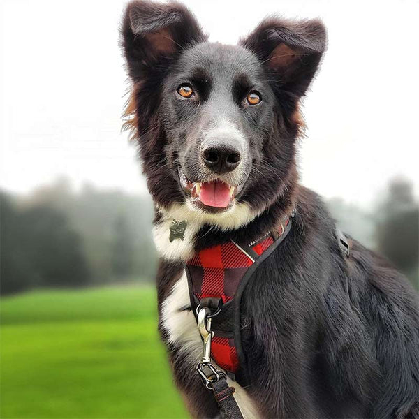 no pull dog harness beige brown