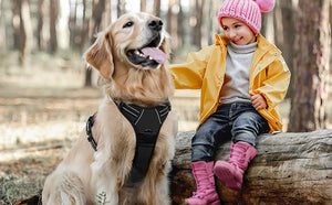 FS-No-Pull-Dog-Harness