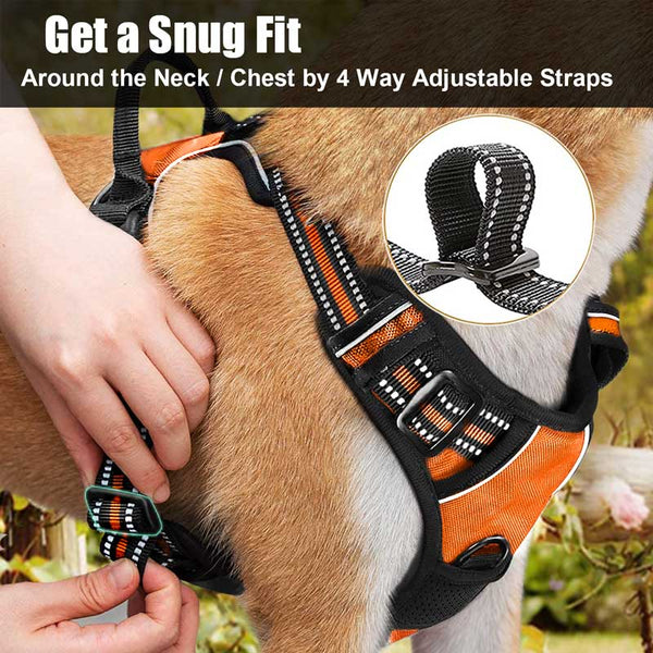 MerryBIY No Pull Dog Harness & Leash