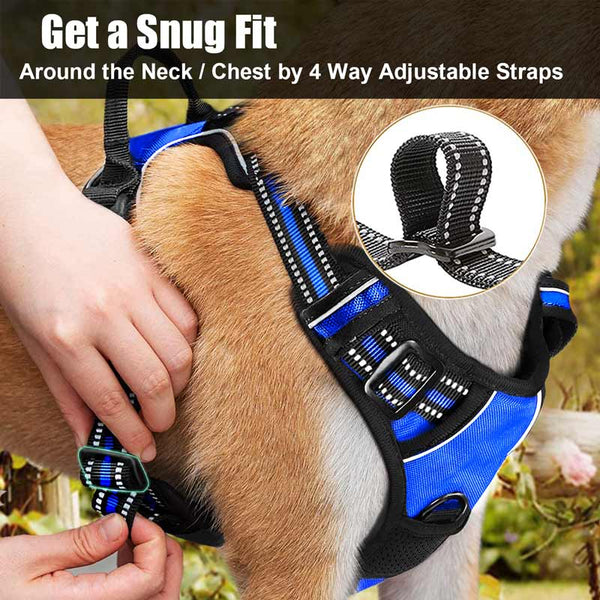 MerryBIY No Pull Dog Harness & Leash
