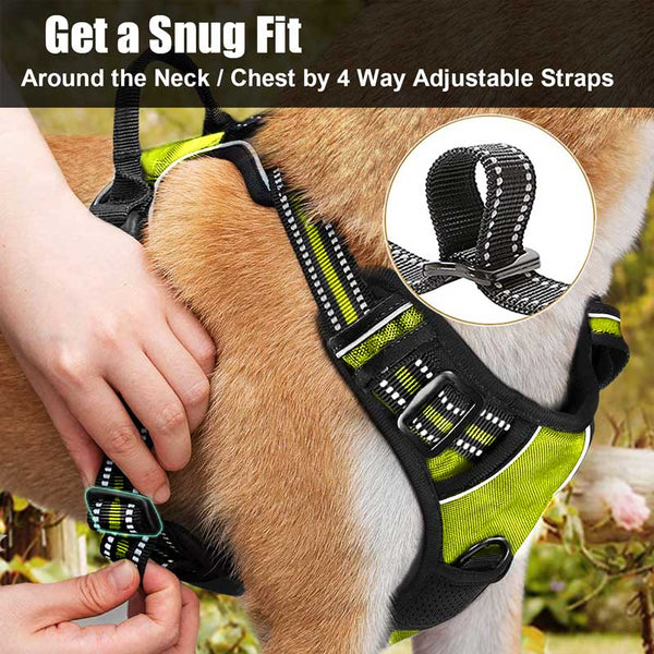 MerryBIY No Pull Dog Harness & Leash
