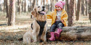 Dog Harness Black