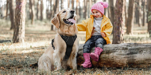 Dog Harness Black