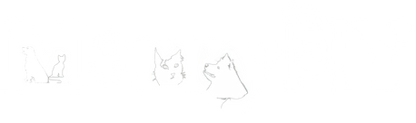 MerryBIY