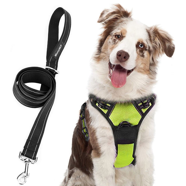 MerryBIY No Pull Dog Harness & Leash