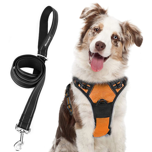 MerryBIY No Pull Dog Harness & Leash