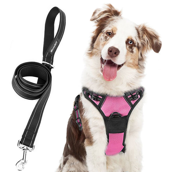 MerryBIY No Pull Dog Harness & Leash