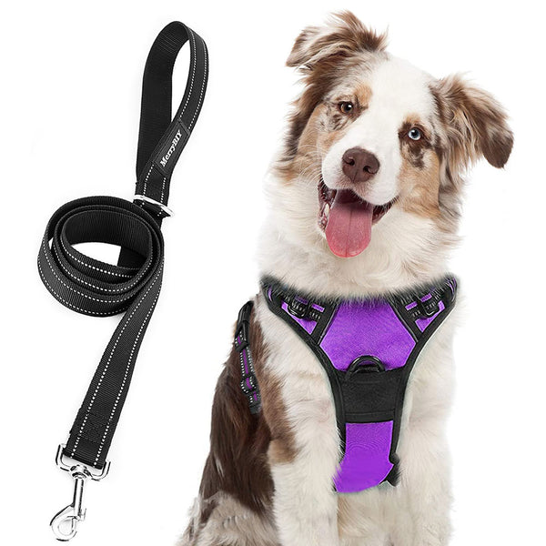 MerryBIY No Pull Dog Harness & Leash