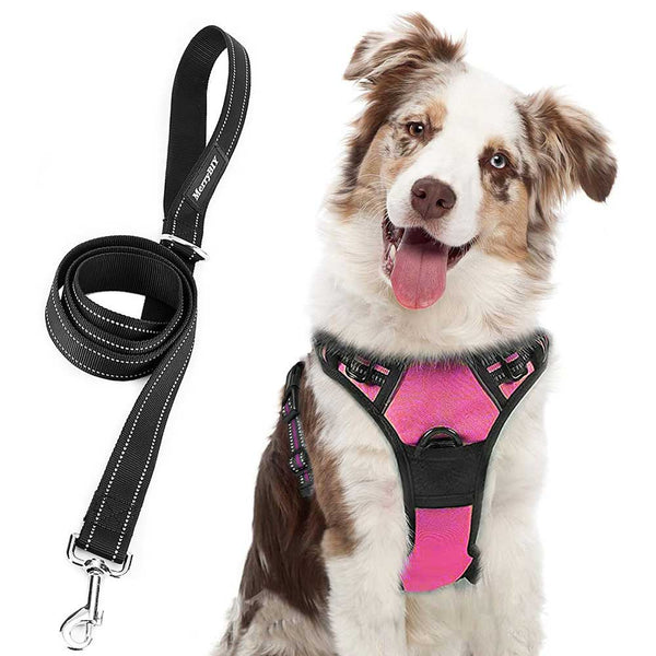 MerryBIY No Pull Dog Harness & Leash