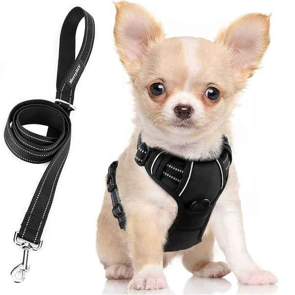 MerryBIY No Pull Dog Harness & Leash