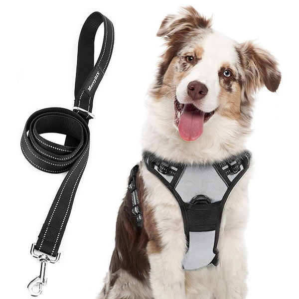 NO-PULL-DOG-HARNESS-SKY-Grey