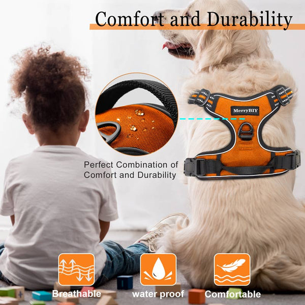 MerryBIY No Pull Dog Harness & Leash