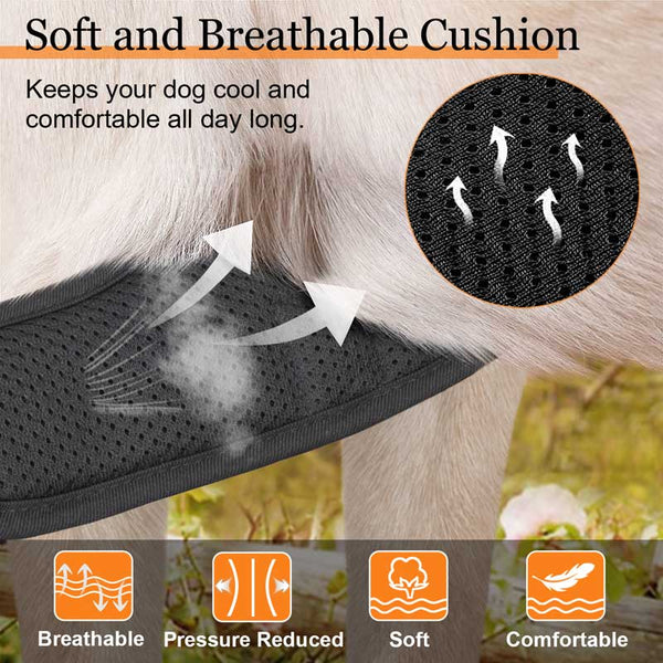 MerryBIY No Pull Dog Harness & Leash