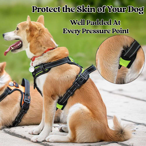NO-PULL-DOG-HARNESS-Green