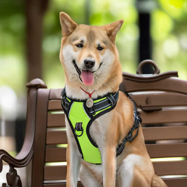 MerryBIY No Pull Dog Harness Adjustable Oxford Vest