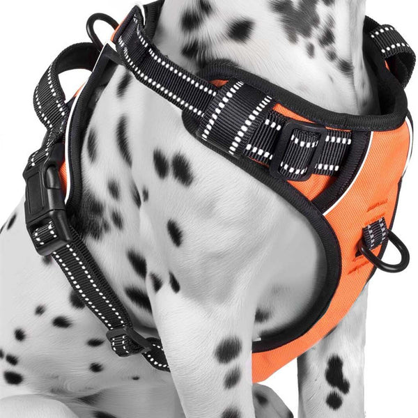 NO-PULL-DOG-HARNESS-Orange
