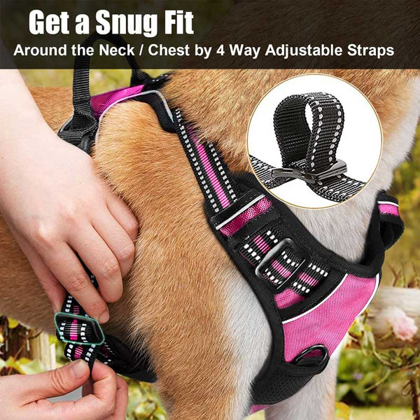 MerryBIY No Pull Dog Harness & Leash